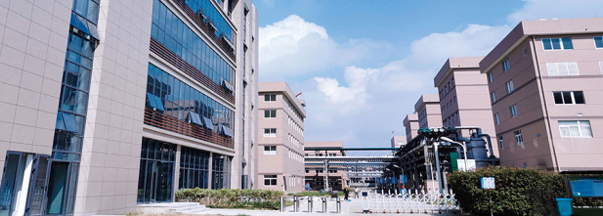 问鼎官方版网站登录入口